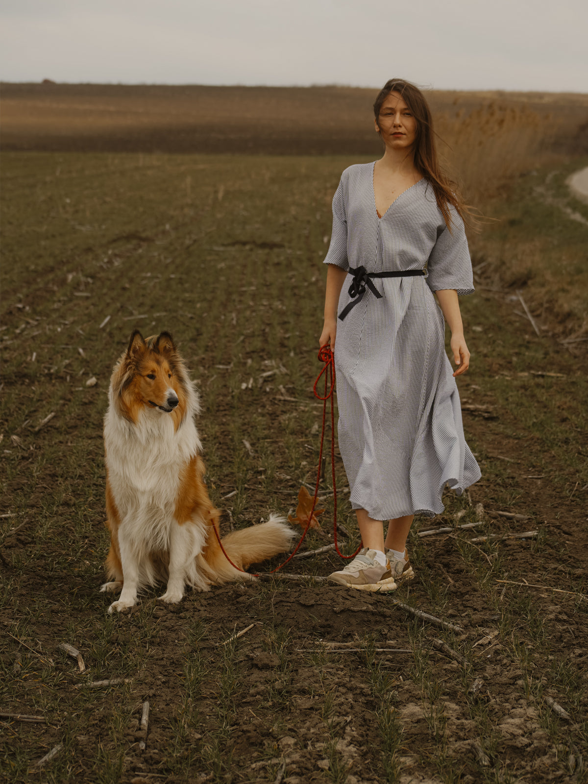 Gone with the wind dress