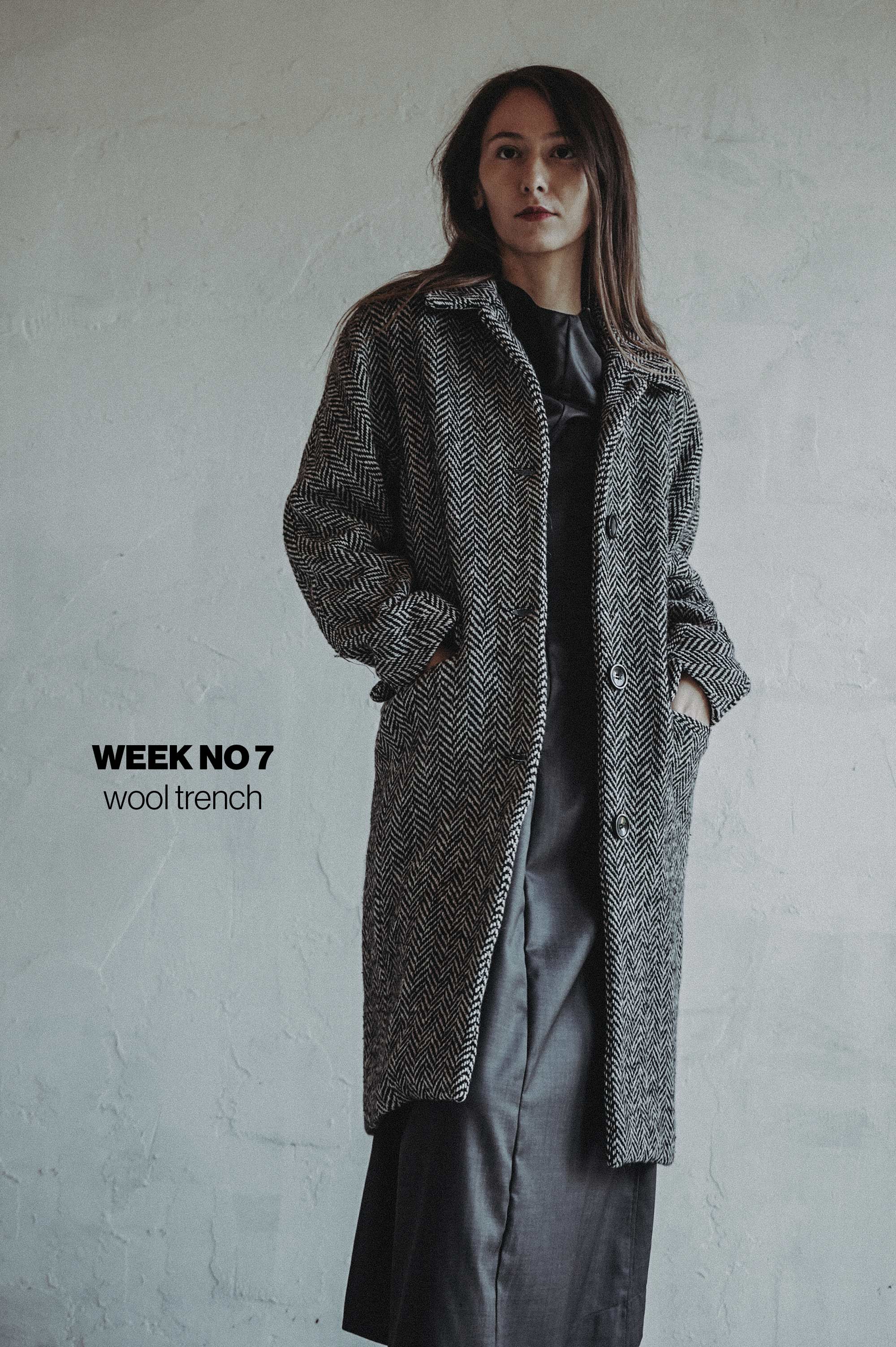 Week No 7 Trench