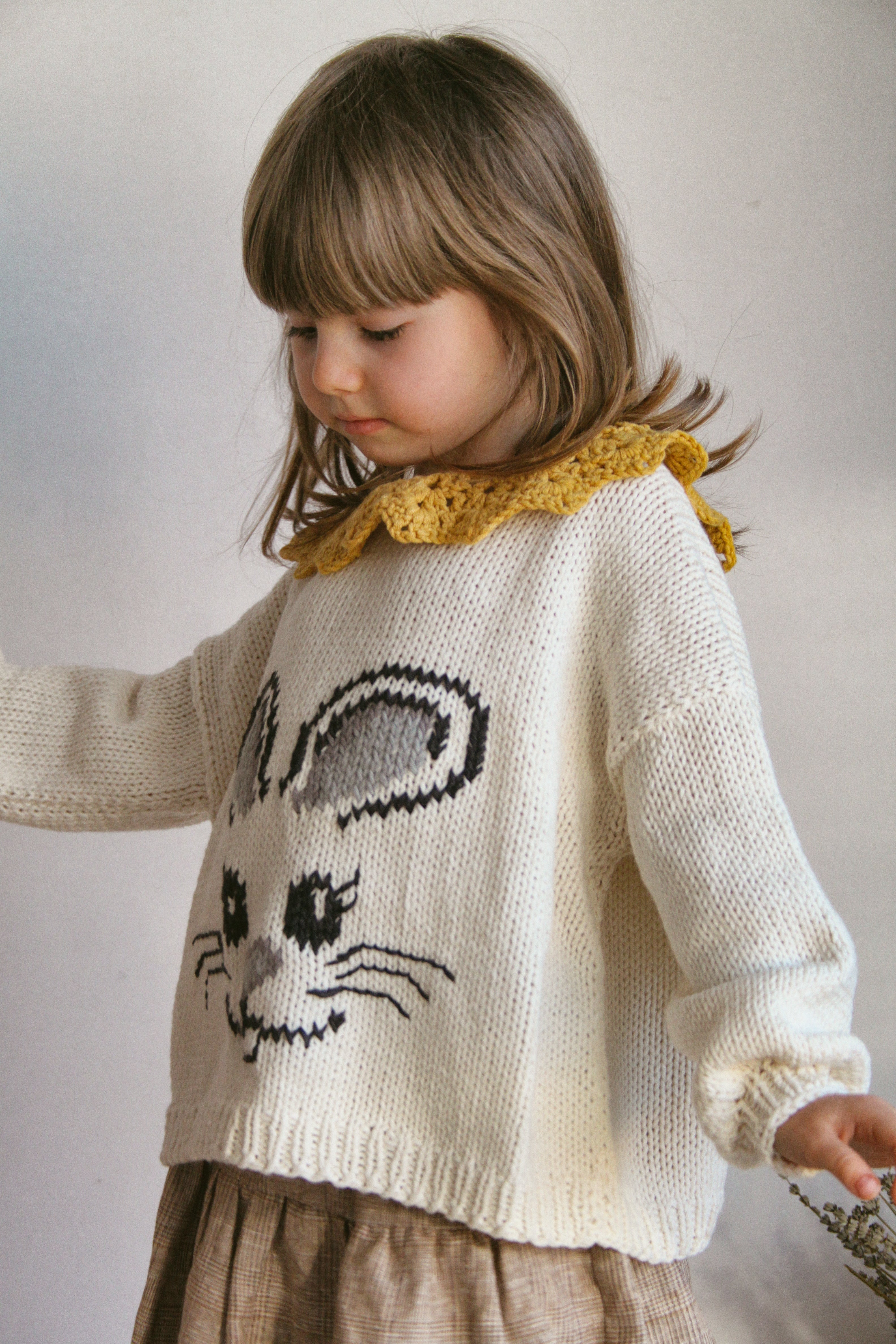 Peter Rabbit handknitted sweater